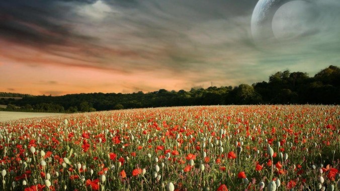 有一双超级大长腿是什么感觉？